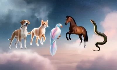 dreaming about animals